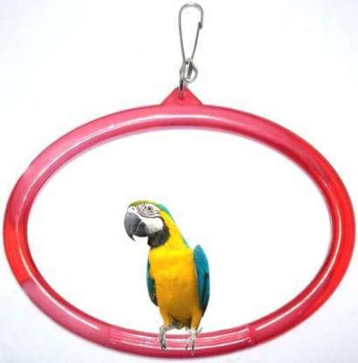 Image Placeholder