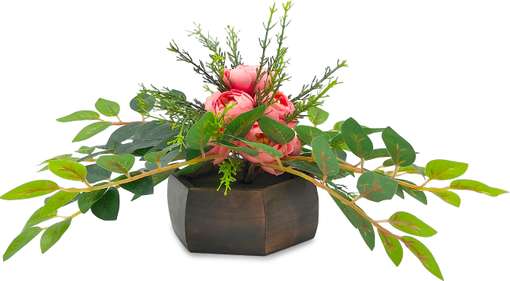 Image Placeholder