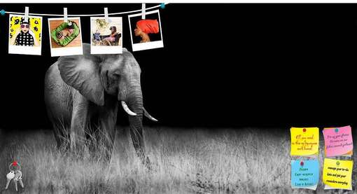 Image Placeholder
