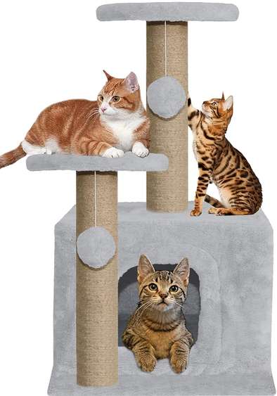 Image Placeholder