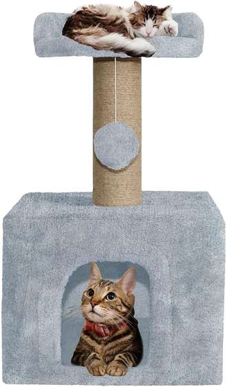 Image Placeholder