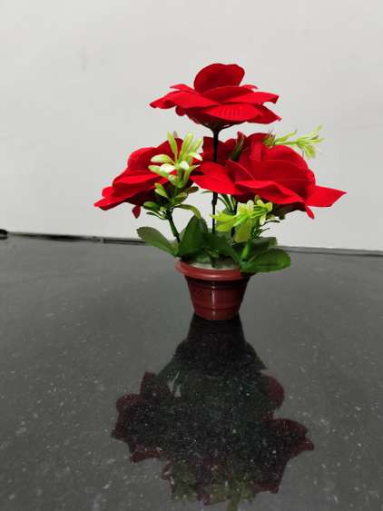 Image Placeholder