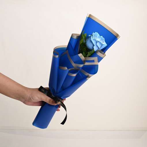 Image Placeholder