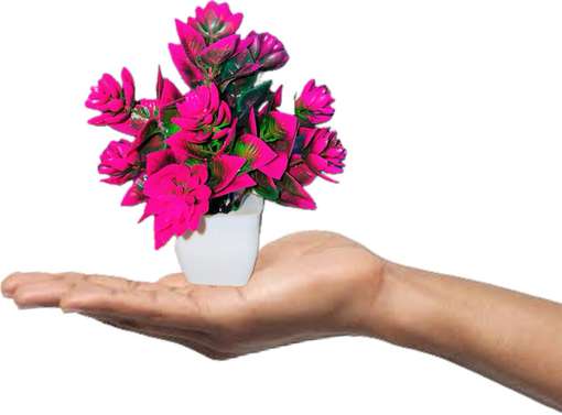 Image Placeholder