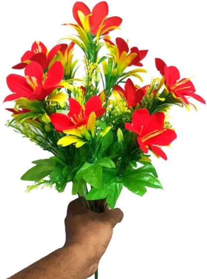 Image Placeholder