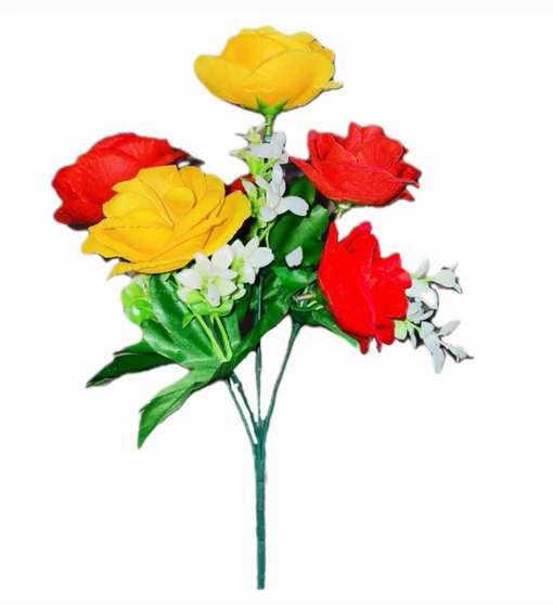 Image Placeholder