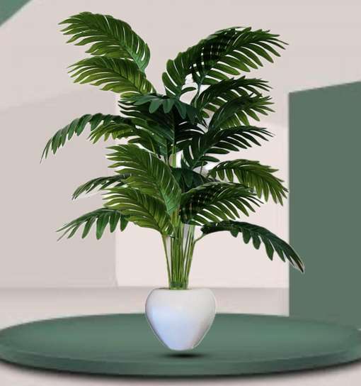Image Placeholder