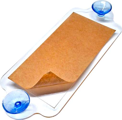 Image Placeholder