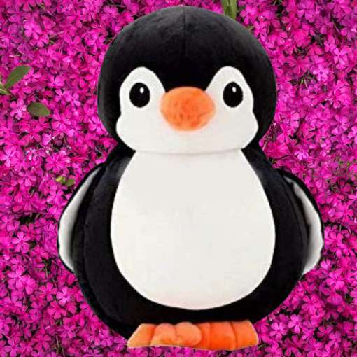 Image Placeholder
