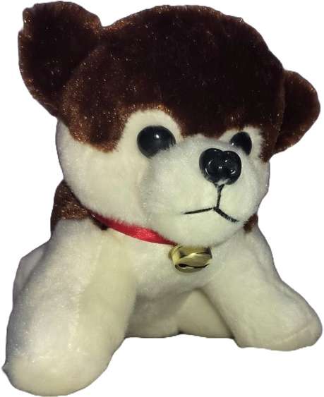 Image Placeholder