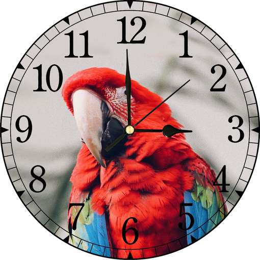 Image Placeholder