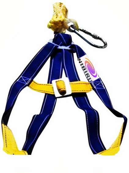 Image Placeholder