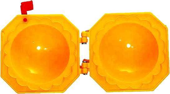 Image Placeholder