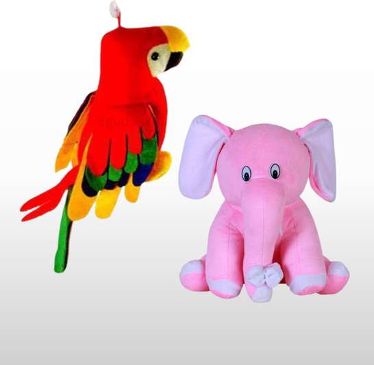 Image Placeholder