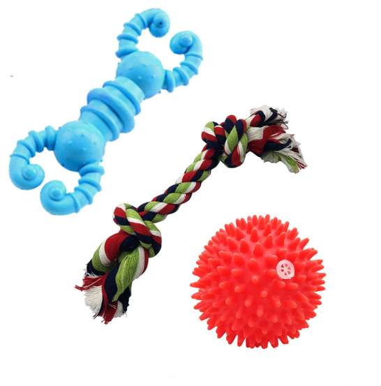 Image Placeholder
