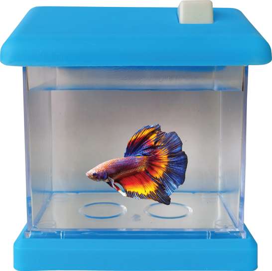 Image Placeholder