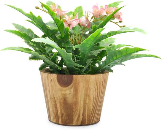 Image Placeholder