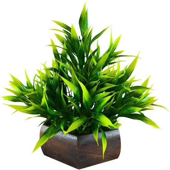 Image Placeholder