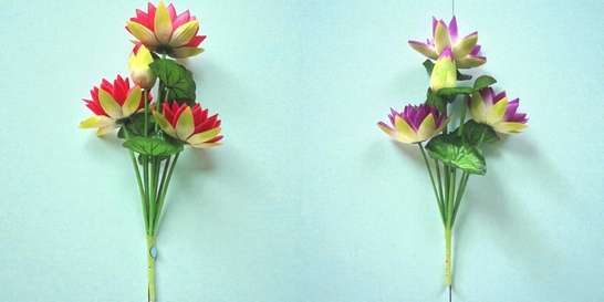 Image Placeholder
