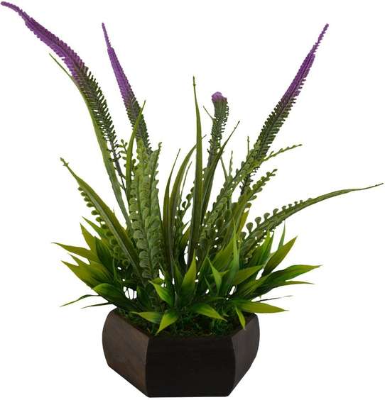 Image Placeholder
