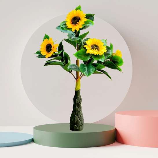 Image Placeholder