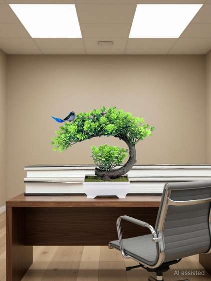 Image Placeholder