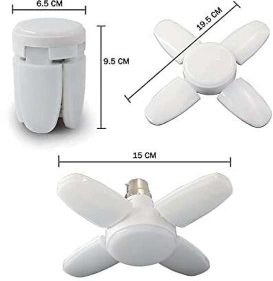 Image Placeholder