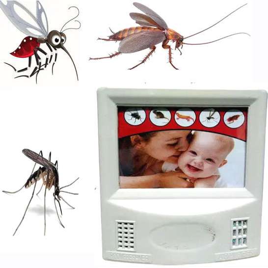 Image Placeholder