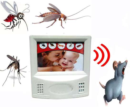Image Placeholder