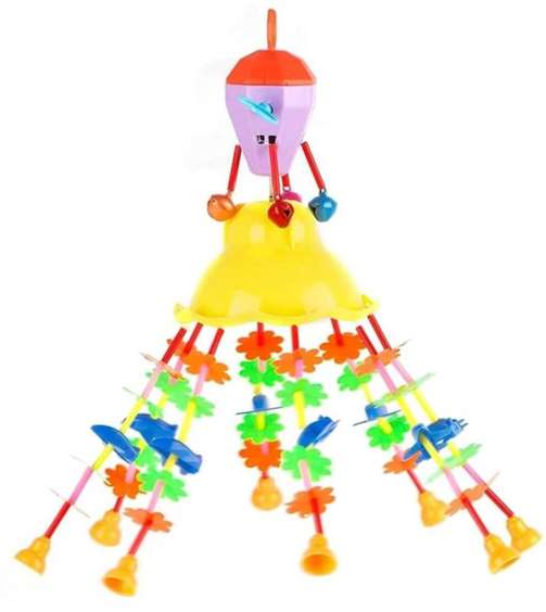 Image Placeholder
