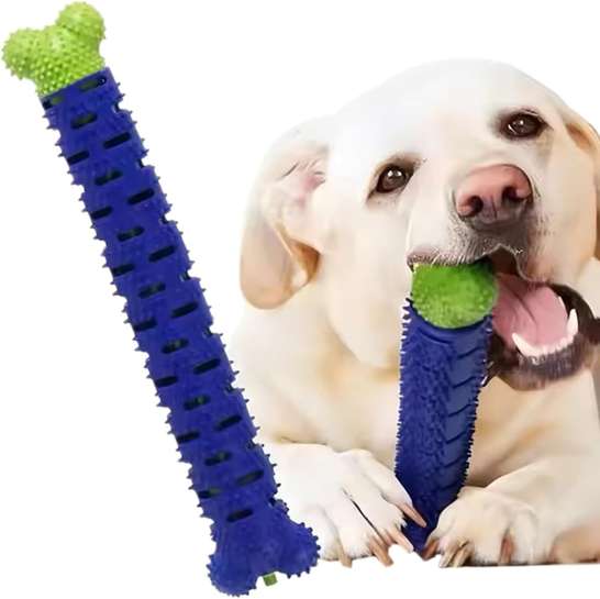 Image Placeholder