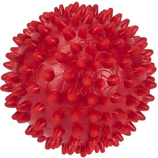 Image Placeholder