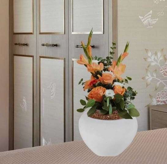 Image Placeholder