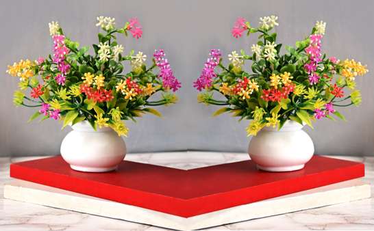 Image Placeholder