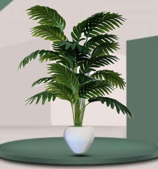 Image Placeholder