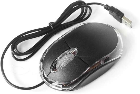 Image Placeholder