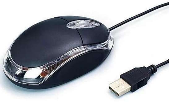 Image Placeholder