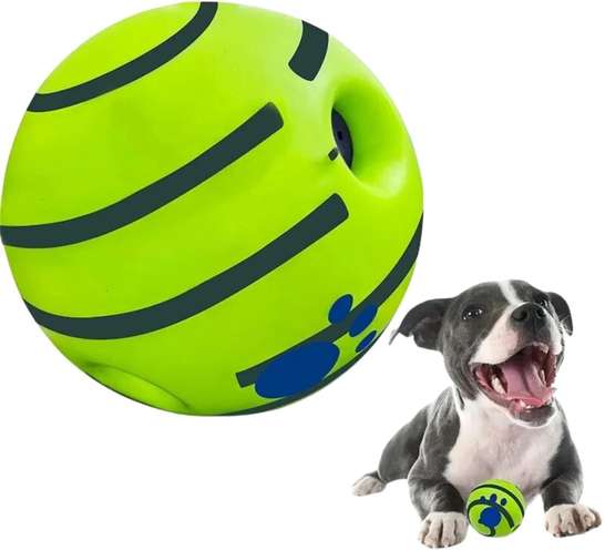 Image Placeholder