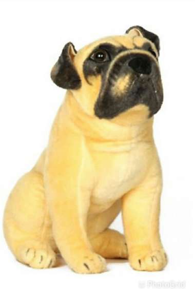 Image Placeholder