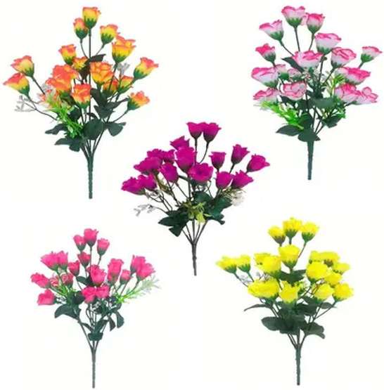 Image Placeholder