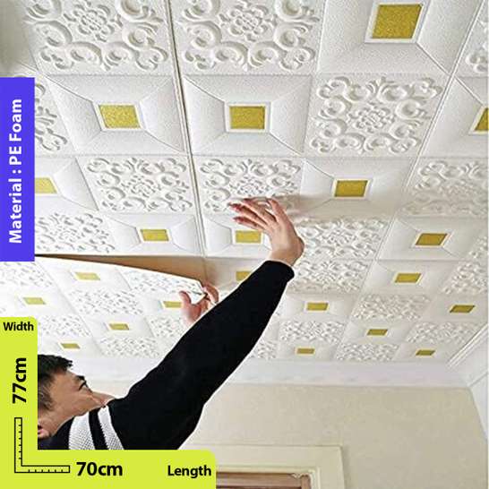 Image Placeholder