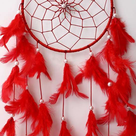 Good Aura Store Feather Dream Catcher 71% off 299₹85