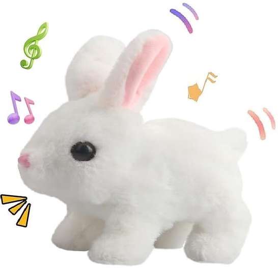Image Placeholder