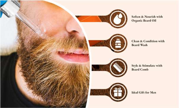 Shopsy Trambex Beard Growth Oil - Image 7