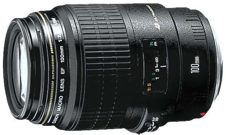 Canon EF 100 mm f/2.8 Macro USM Macro Prime Lens - Canon 