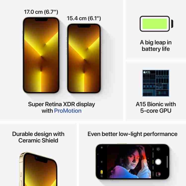 Apple 13 Pro ( 1 TB GB Storage, 0 GB RAM ) Online at Best Price On 