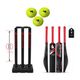 NSP Bahubali VK Edition Scoop Cricket Bat â Poplar Wood Capsule Build Poplar Willow Cricket Bat For 15+ Yrs (0.5 kg) - Image 4
