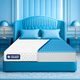 The Sleep Company Orthopedic Grid Mattress | SmartGRID Technology | Medium Firm 8 inch Queen High Density (HD) Foam Mattress (L x W: 75 inch x 66 inch) - Image 3