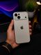 EXOTIC FLOURISH iPhone 15 Back Cover, Silver - Image 4