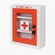 TATA 1mg T1MG/FA02 First Aid Kit (Home, Sports and Fitness, Vehicle, Workplace) - Image 3
